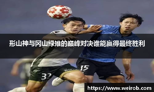 形山神与冈山绿雉的巅峰对决谁能赢得最终胜利